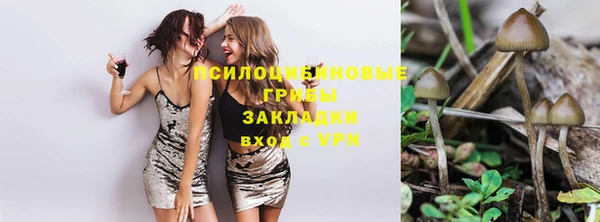 mdpv Арсеньев
