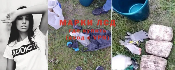 индика Приозерск