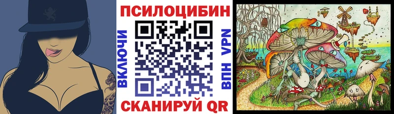 хочу   Дыгулыбгей  блэк спрут tor  мориарти состав  Псилоцибиновые грибы Psilocybine cubensis 